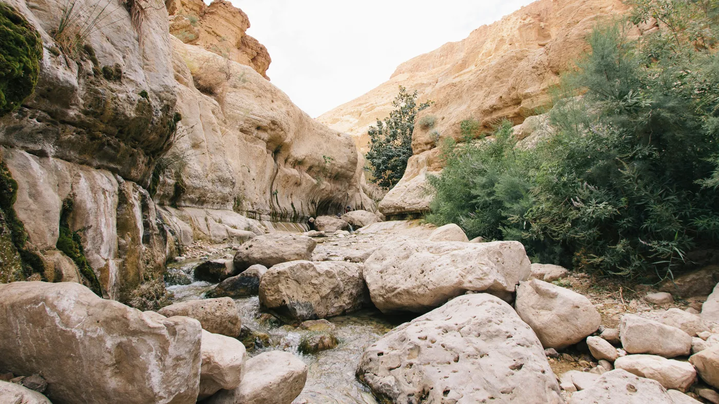 Ein Gedi